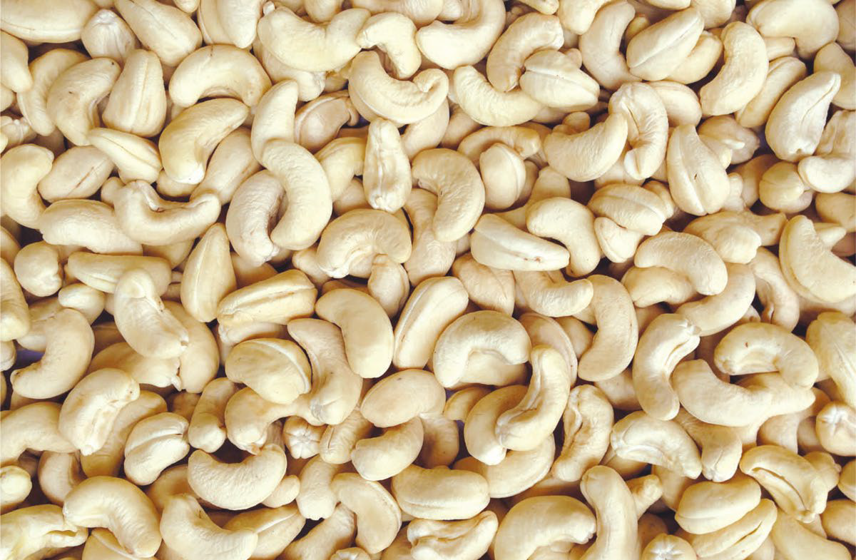 Akros cashew nut export packaging in cartons