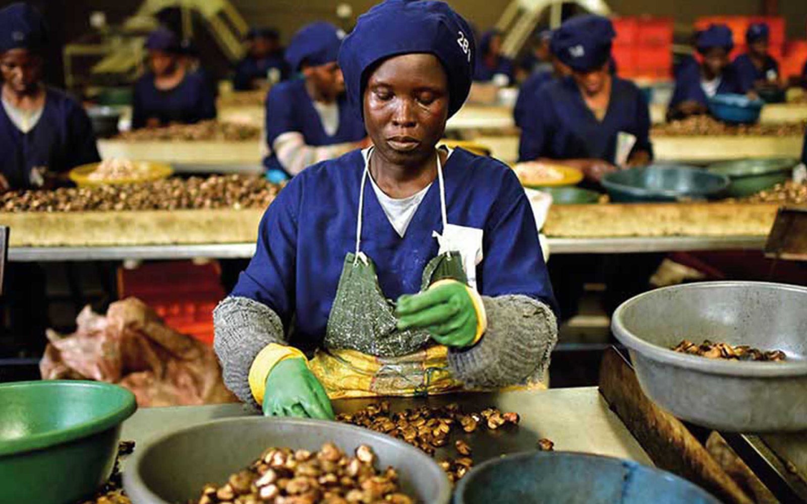 Akros Limited workers at the cashew processing facility in Mtwara